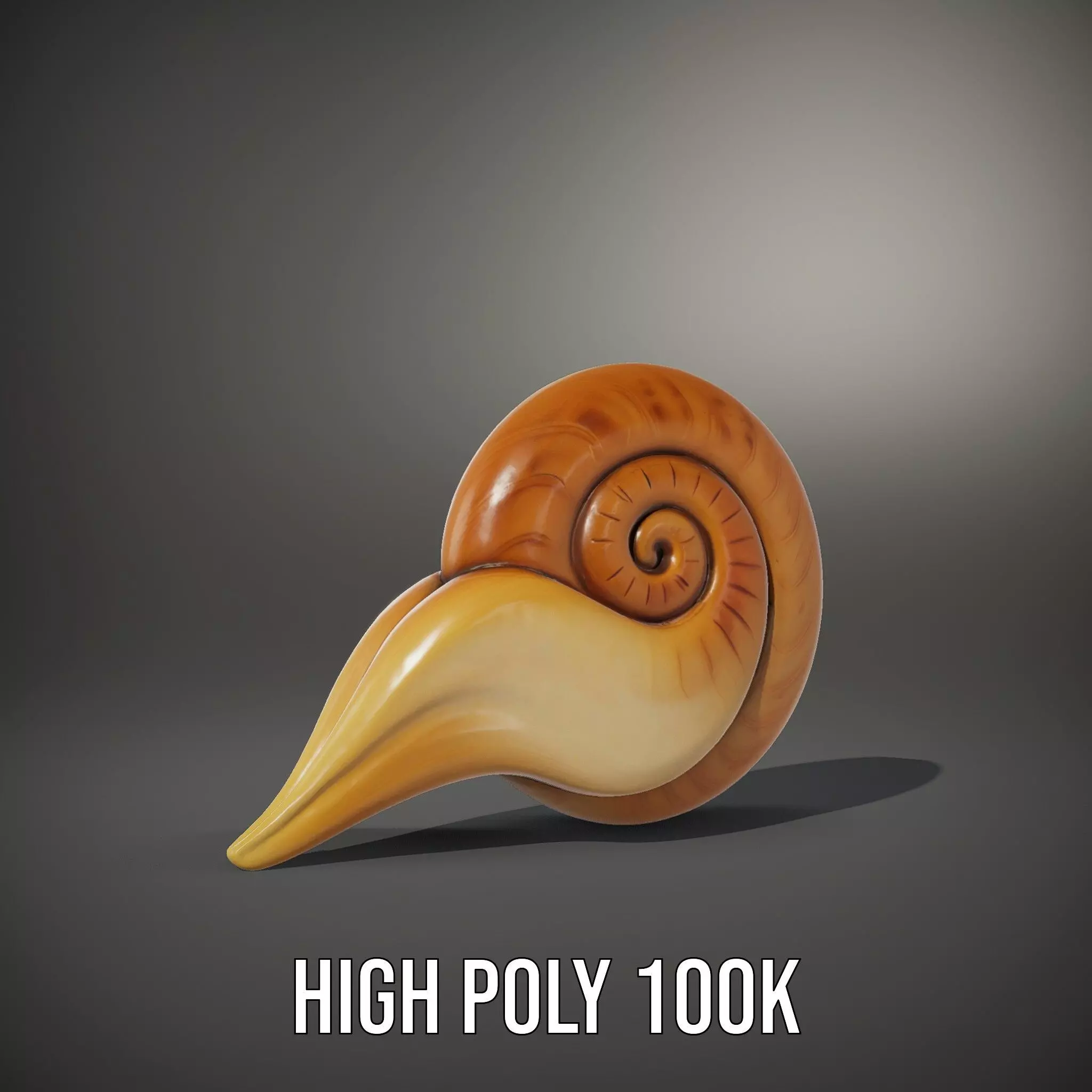 Glossy Spiral Shell model pack Low-poly 3D model_9