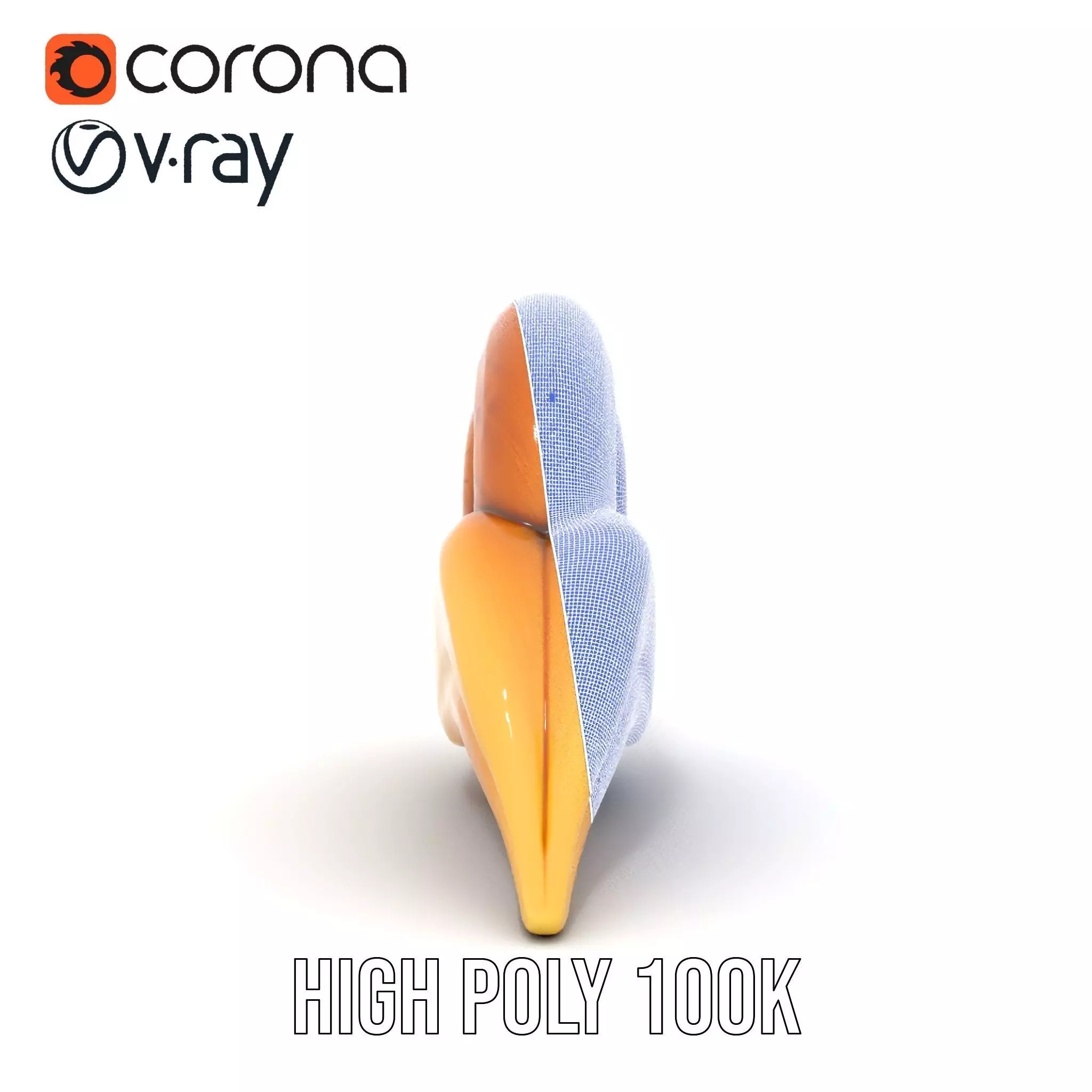 Glossy Spiral Shell model pack Low-poly 3D model_34