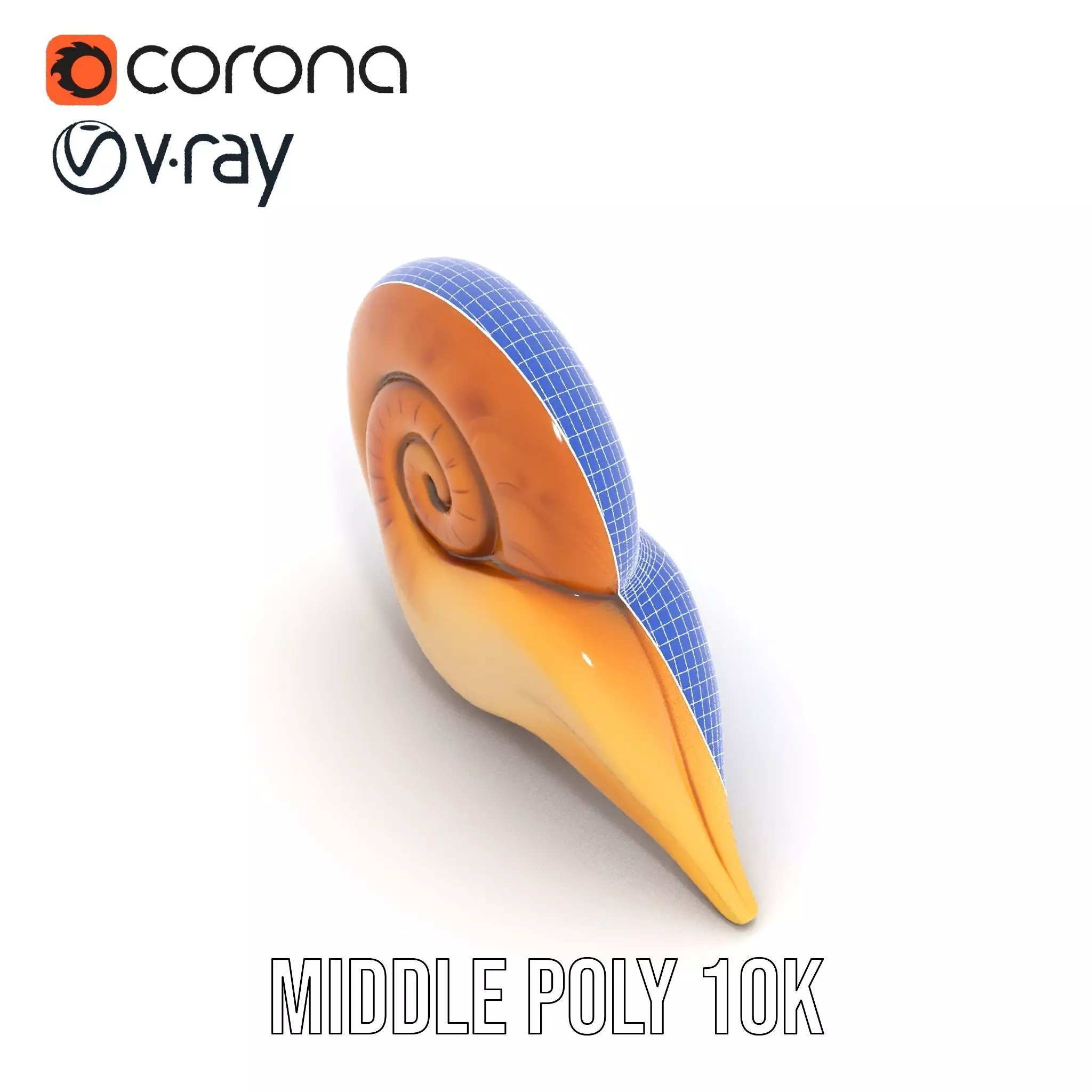 Glossy Spiral Shell model pack Low-poly 3D model_28