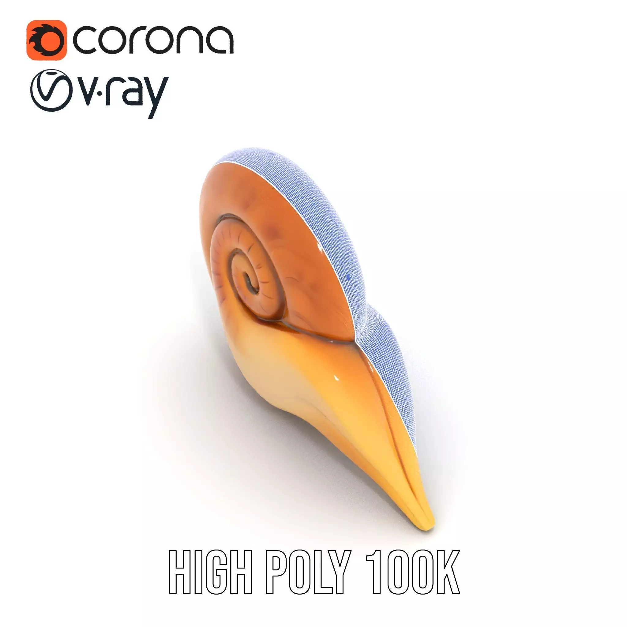 Glossy Spiral Shell model pack Low-poly 3D model_35