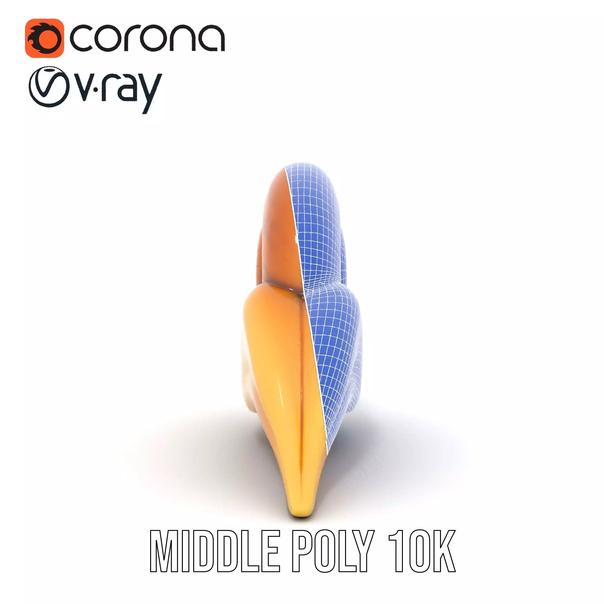 Glossy Spiral Shell model pack Low-poly 3D model_30