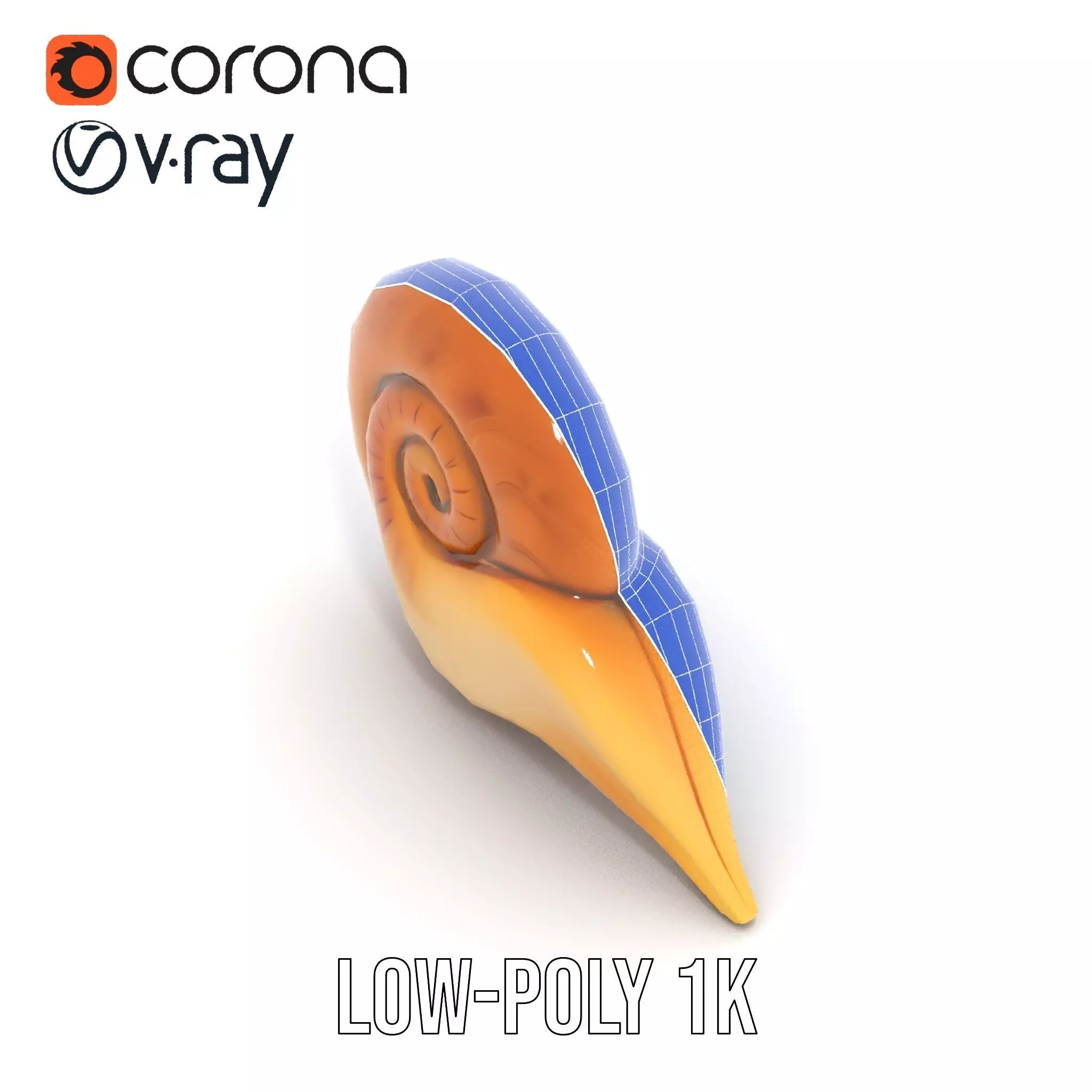 Glossy Spiral Shell model pack Low-poly 3D model_29