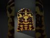 Oceanic Shells 3D Collection _13