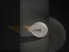 Oceanic Shells 3D Collection _15
