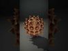 Oceanic Shells 3D Collection _17