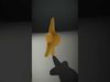 Oceanic Shells 3D Collection _23