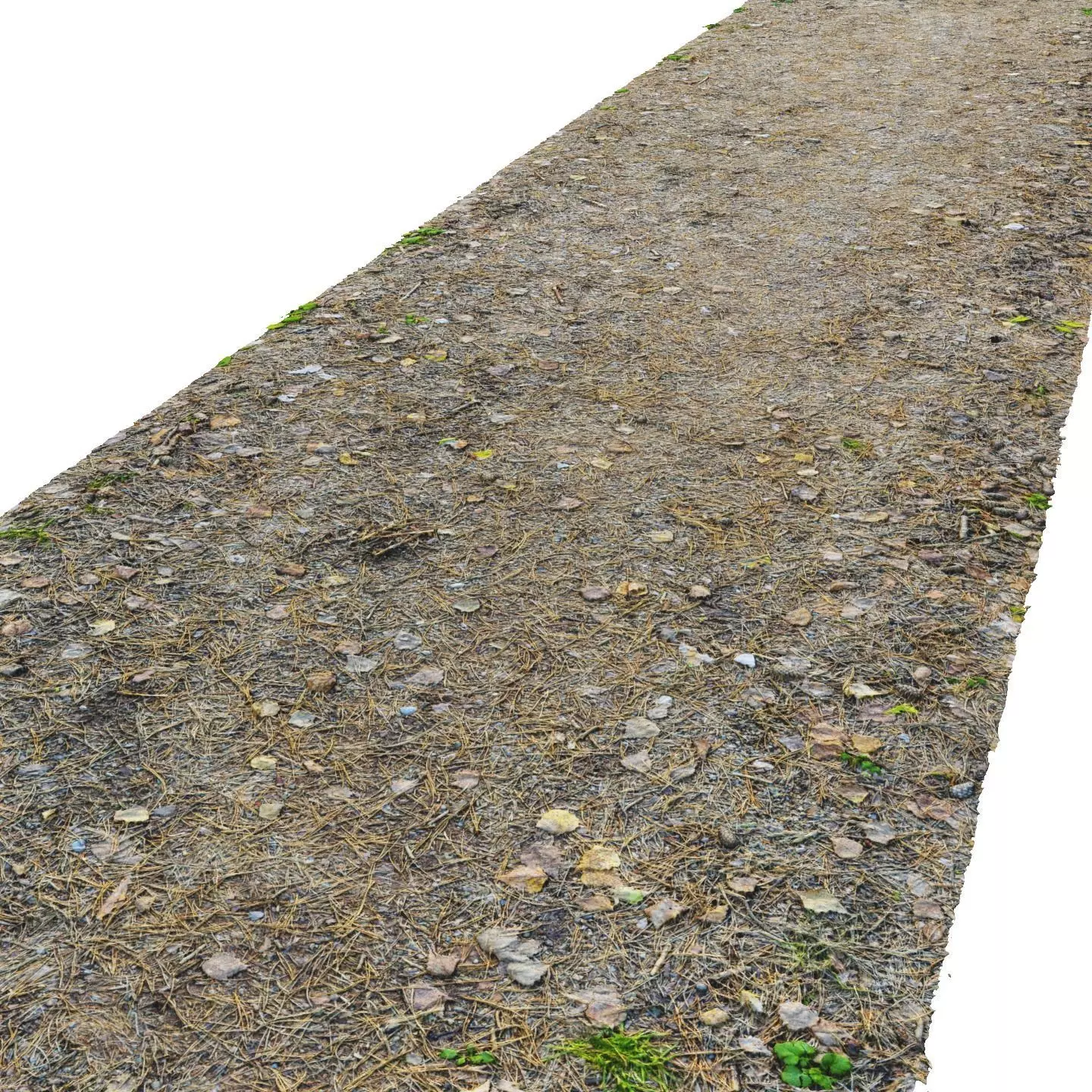 Coniferous park path N01 10 meters 3D model