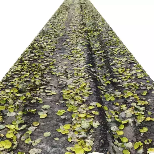 Forest autumn road N02 - 12meters 3D model
