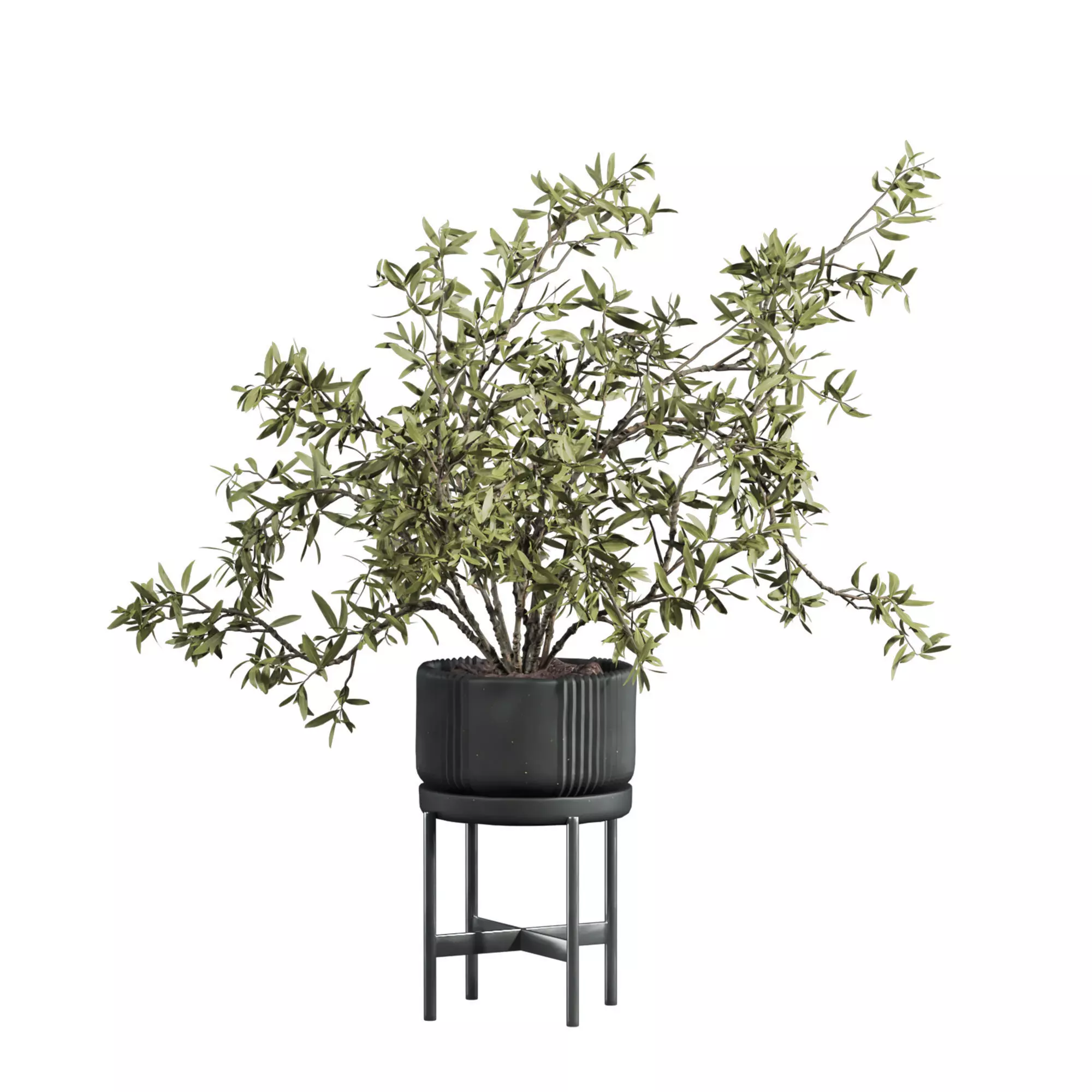 indoor potted plants set 3D model_1