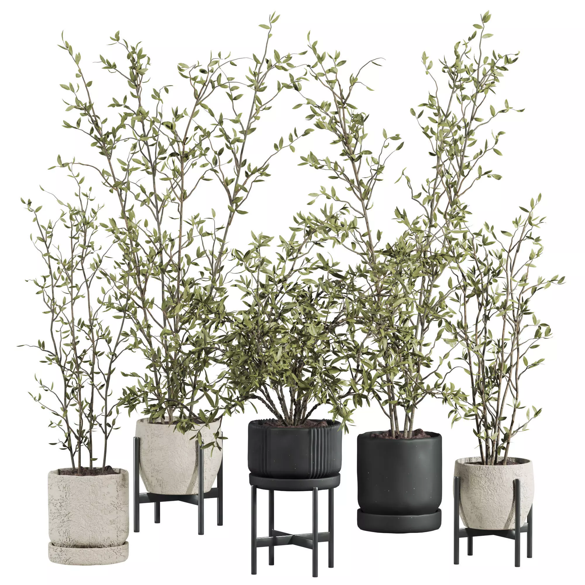 indoor potted plants set 3D model_0