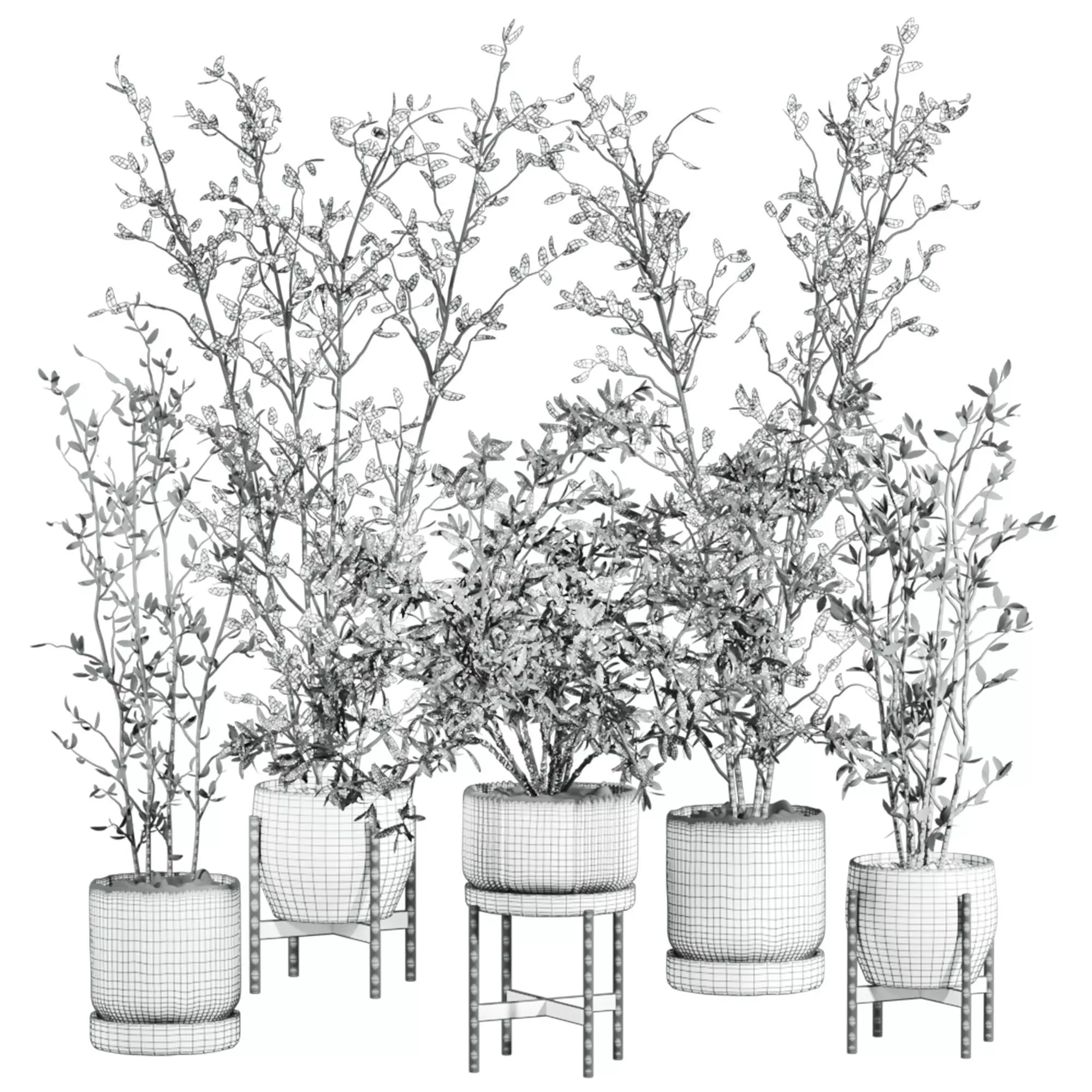 indoor potted plants set 3D model_3