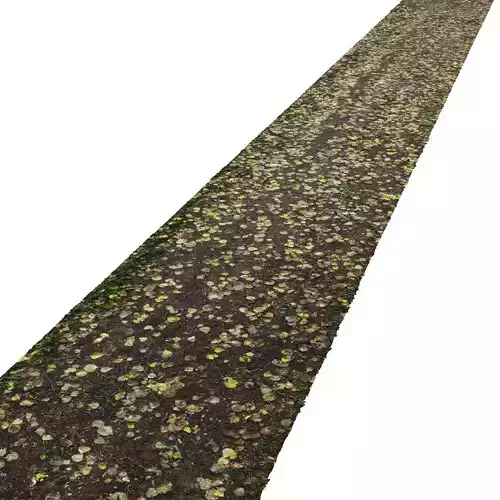Forest autumn road N03 - 12meters 3D model