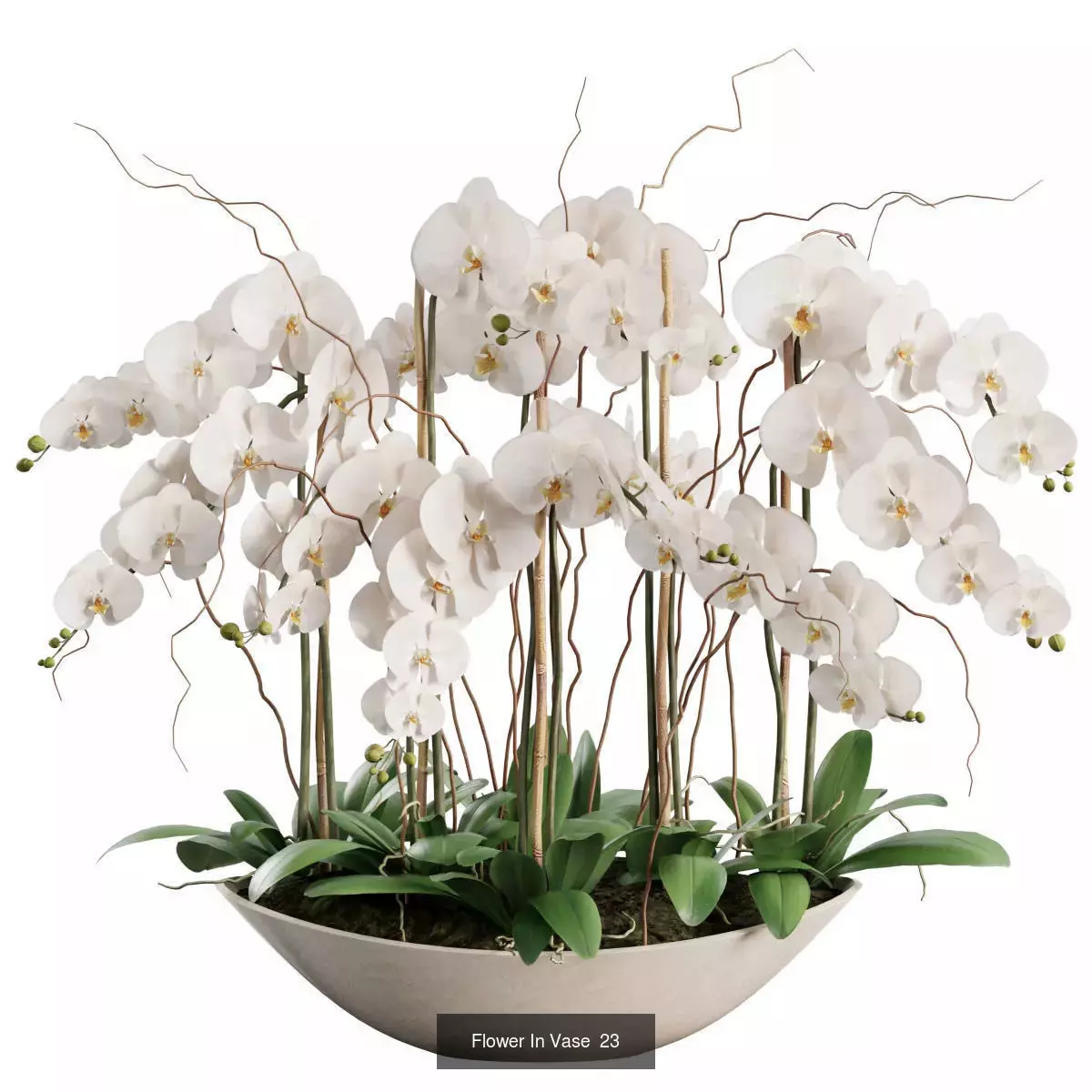 Flower In Vase Collection 03 _3