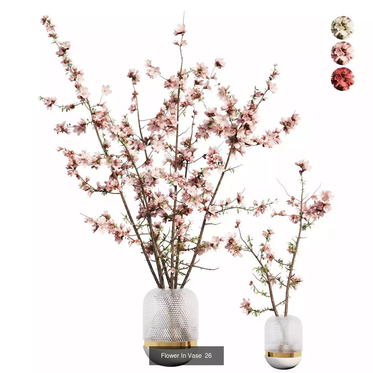 Flower In Vase Collection 04 _3