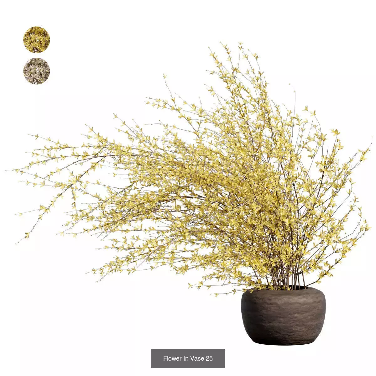 Flower In Vase Collection 04 _2