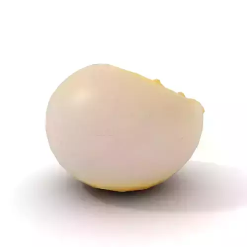Cracked Eggshell model pack Low-poly 3D model 7