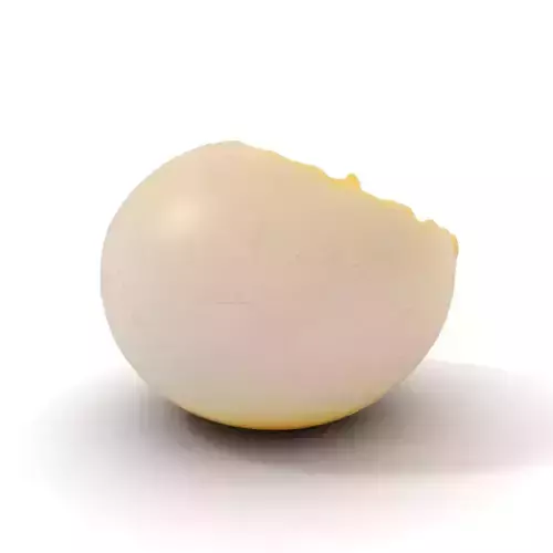 Cracked Eggshell model pack Low-poly 3D model 5