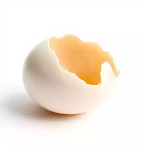 Cracked Eggshell model pack Low-poly 3D model 2