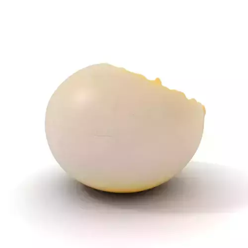 Cracked Eggshell model pack Low-poly 3D model