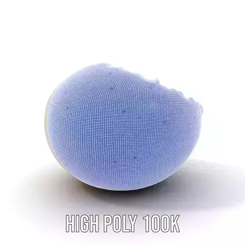 Cracked Eggshell model pack Low-poly 3D model 4
