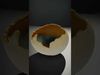Cracked Eggshell model pack Low-poly 3D model_2