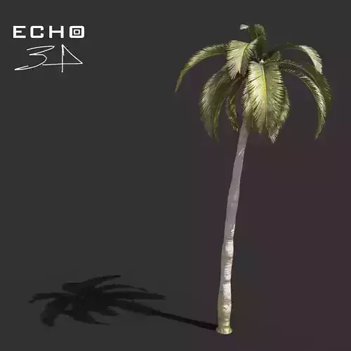 Palmtree Low-poly 3D model