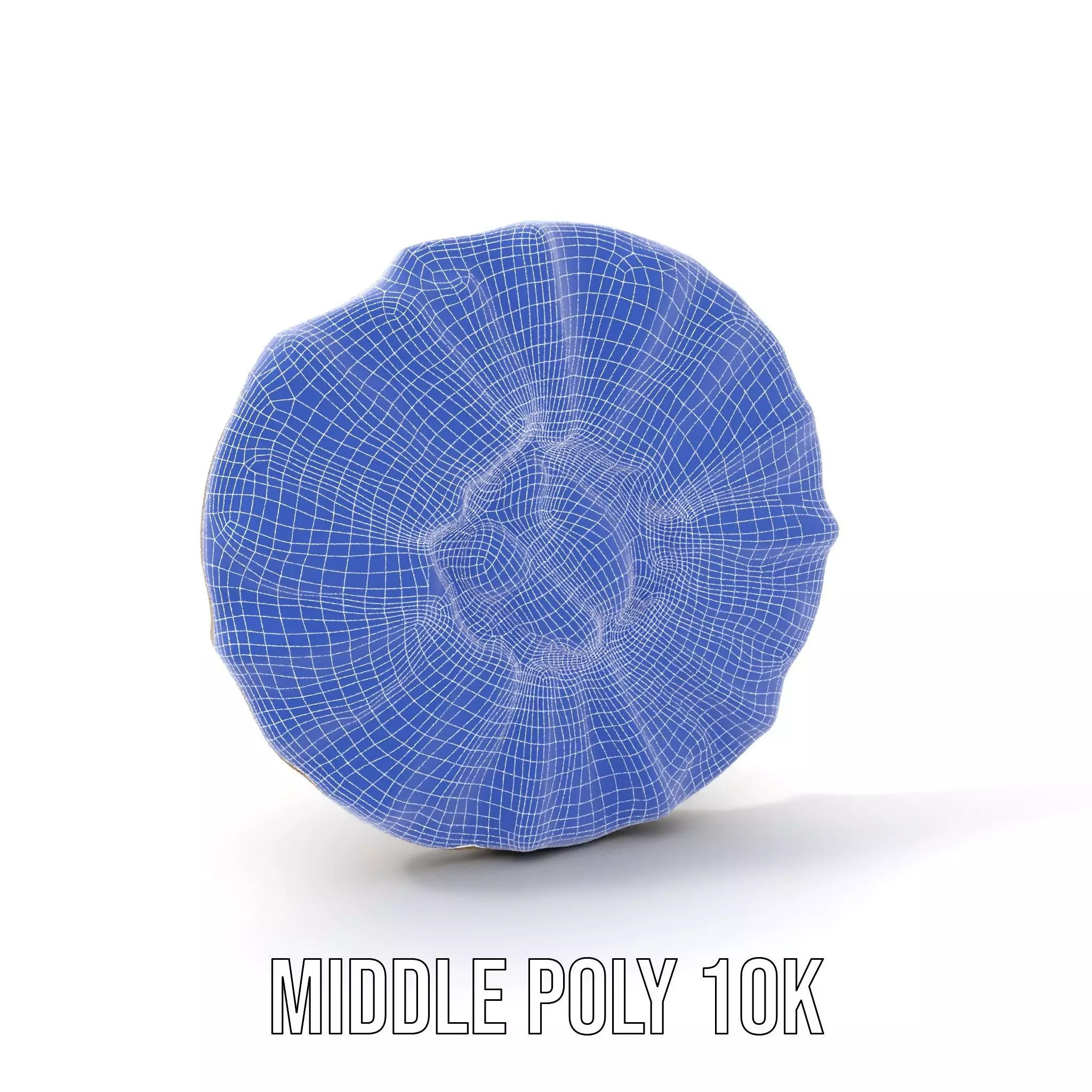 Textured Fossil Stone model pack Low-poly 3D model_22