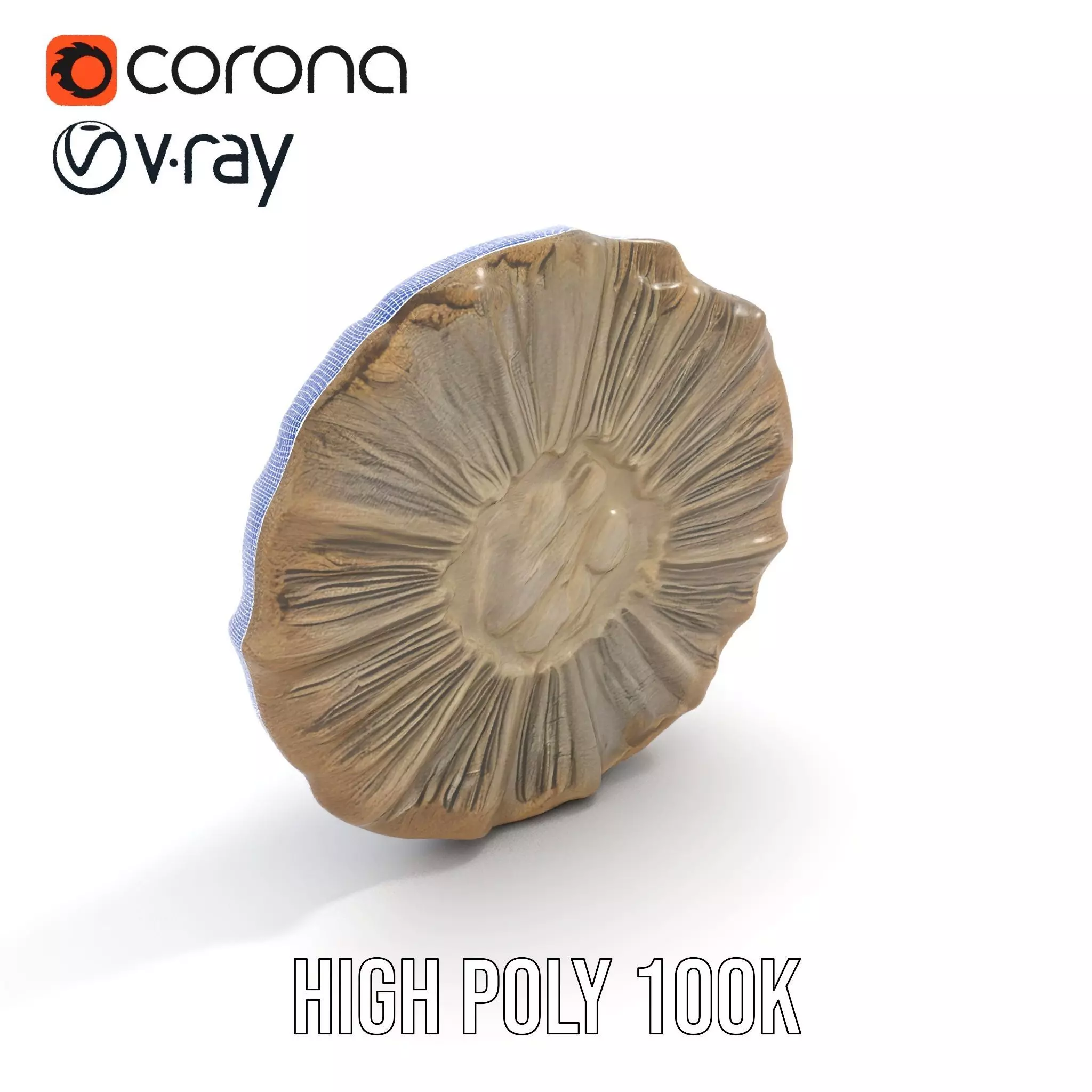 Textured Fossil Stone model pack Low-poly 3D model_21