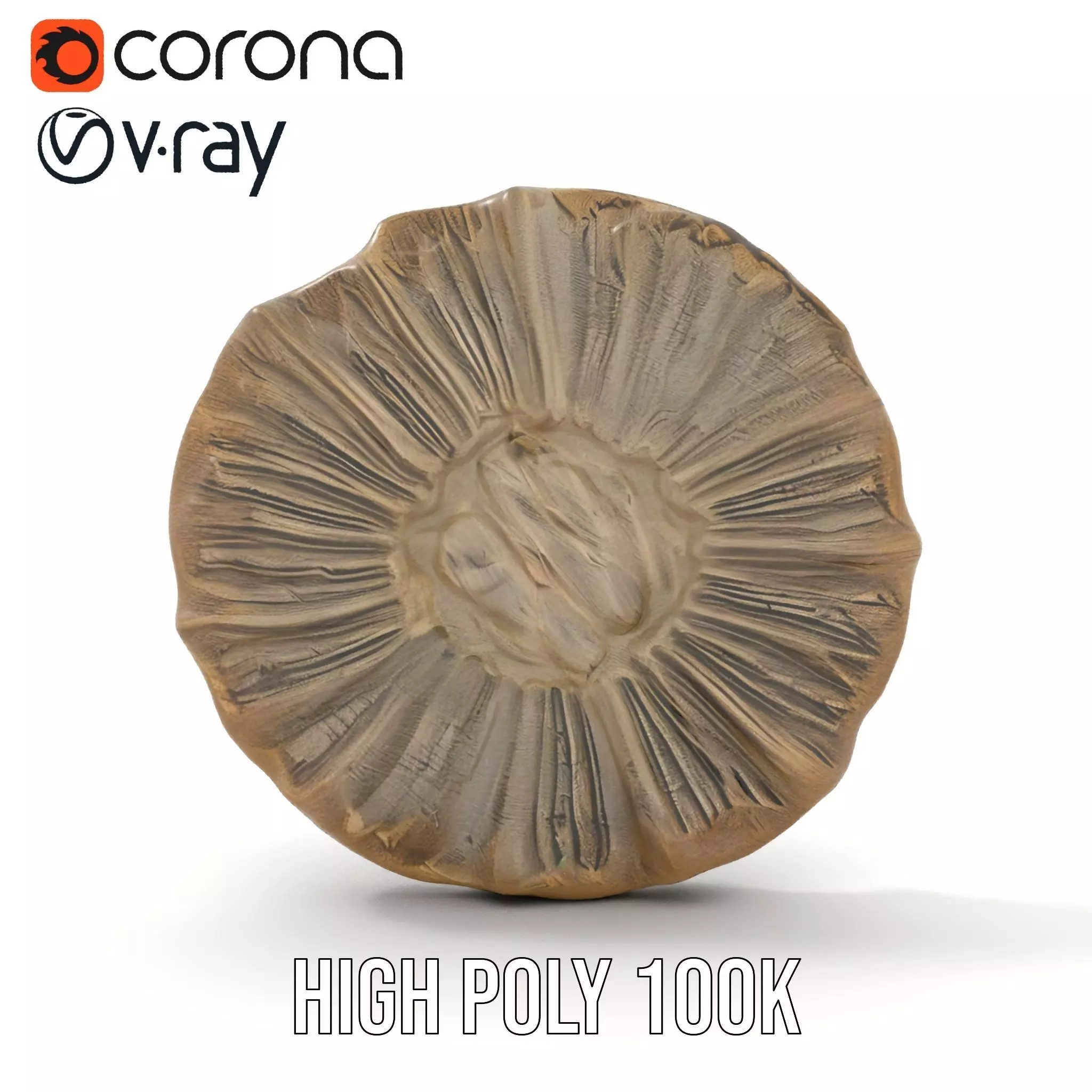 Textured Fossil Stone model pack Low-poly 3D model_32