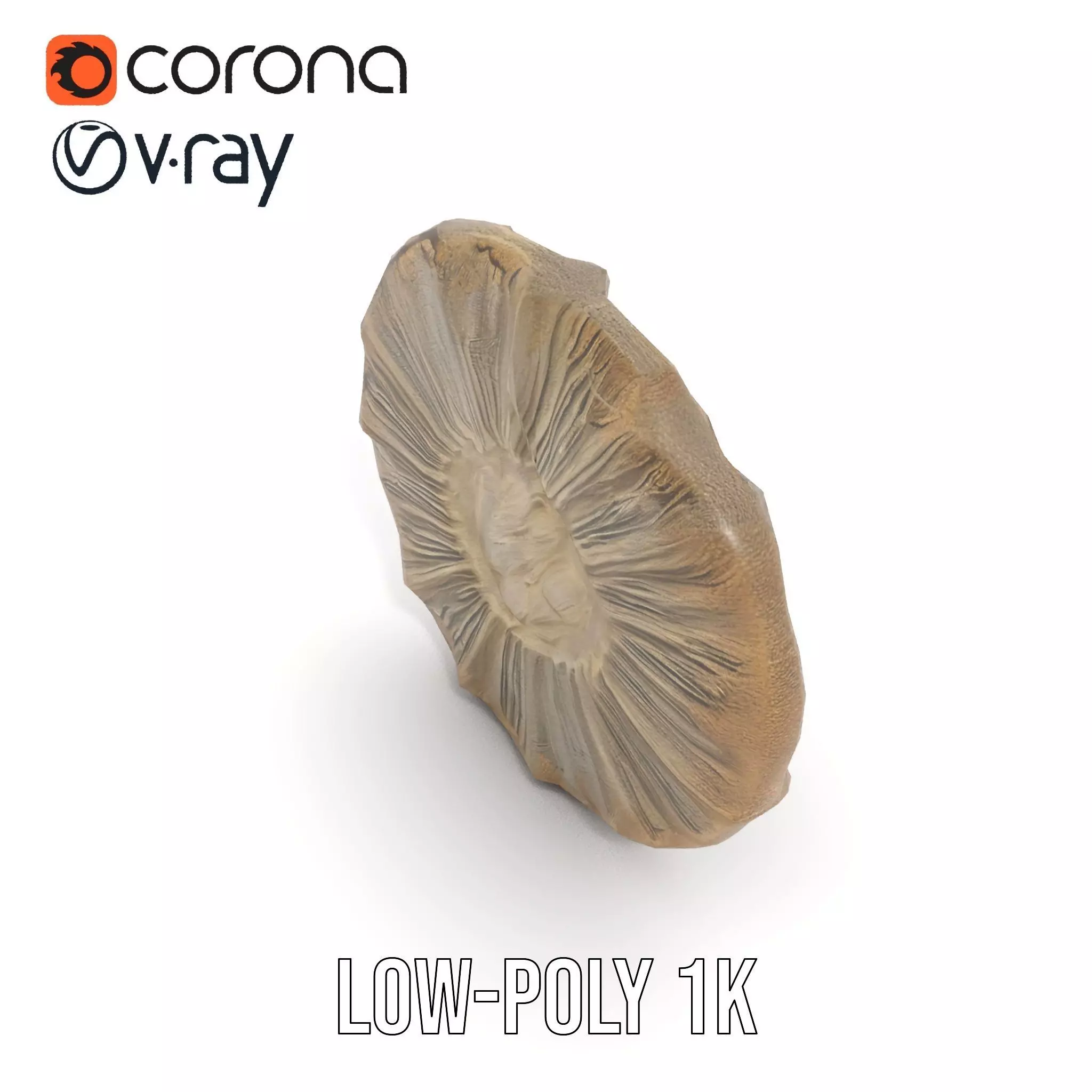 Textured Fossil Stone model pack Low-poly 3D model_10