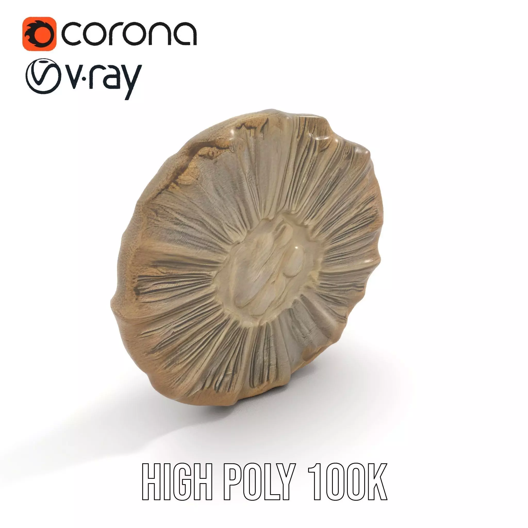 Textured Fossil Stone model pack Low-poly 3D model_24