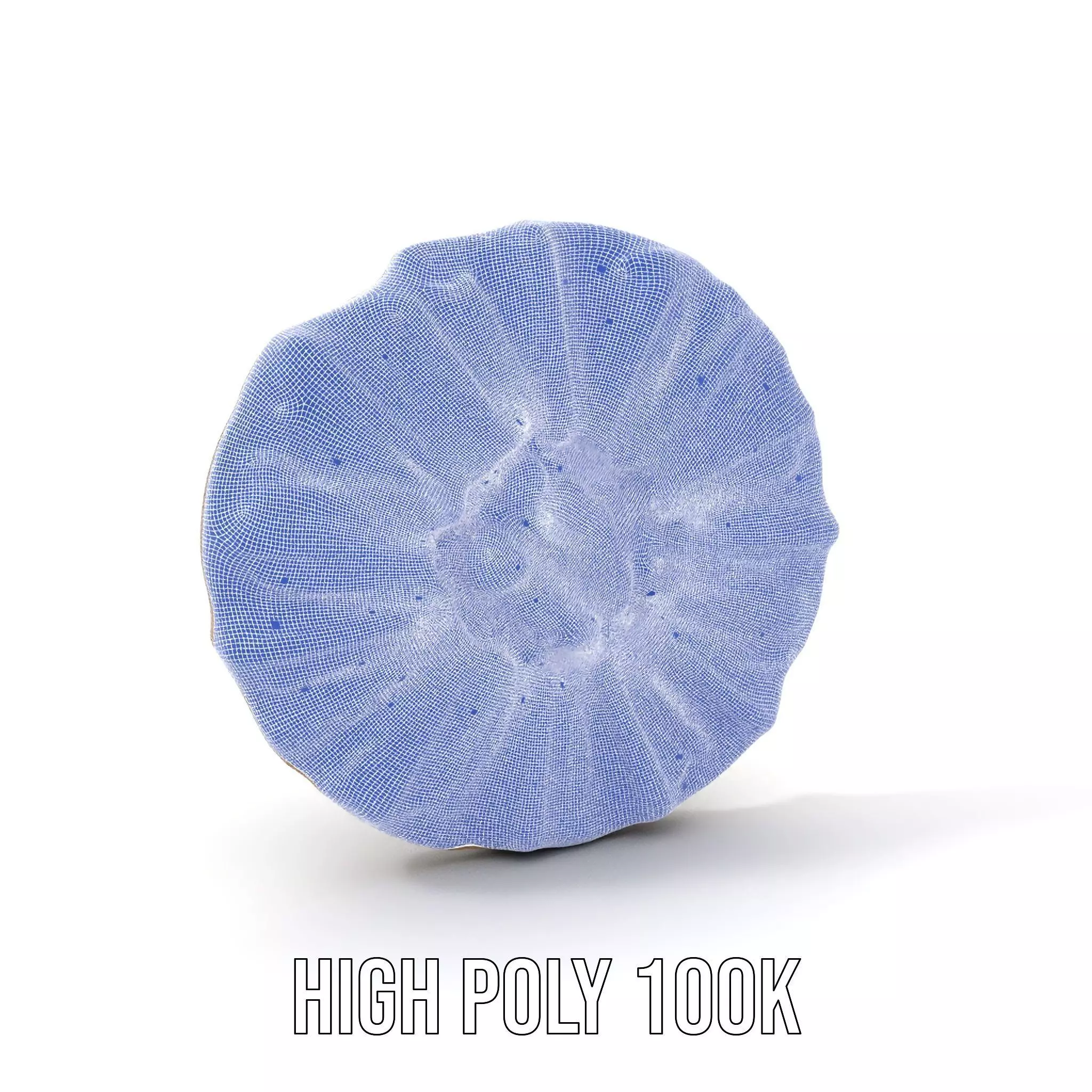 Textured Fossil Stone model pack Low-poly 3D model_5