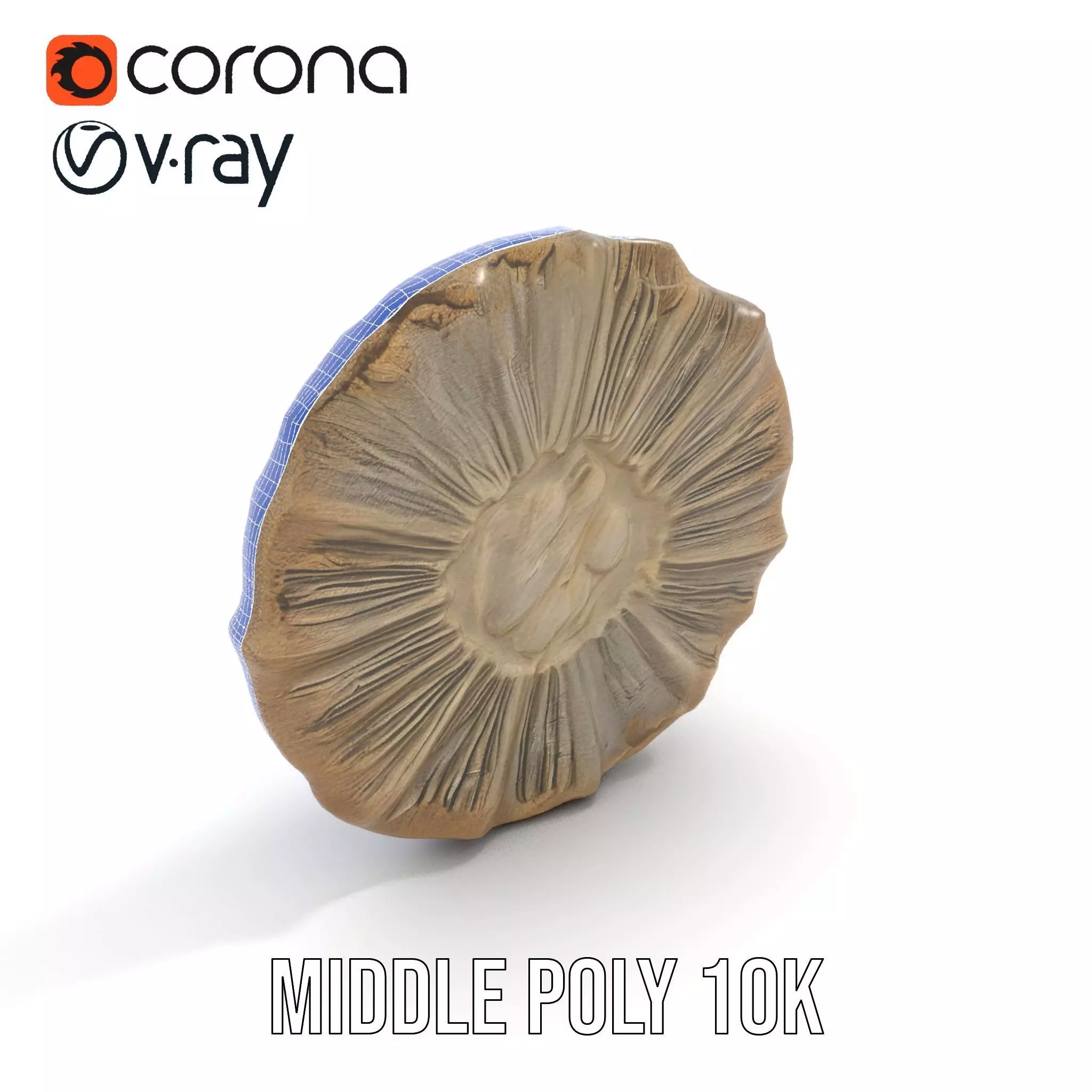 Textured Fossil Stone model pack Low-poly 3D model_19