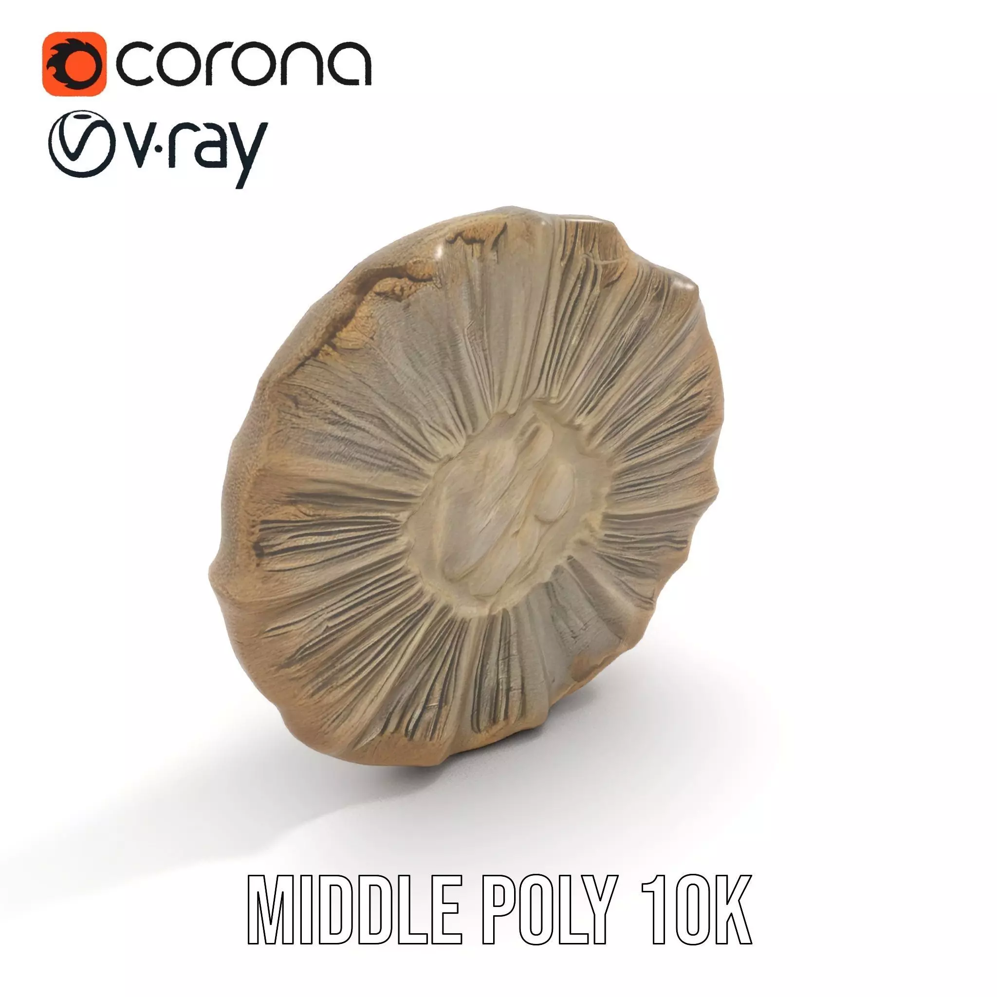 Textured Fossil Stone model pack Low-poly 3D model_12