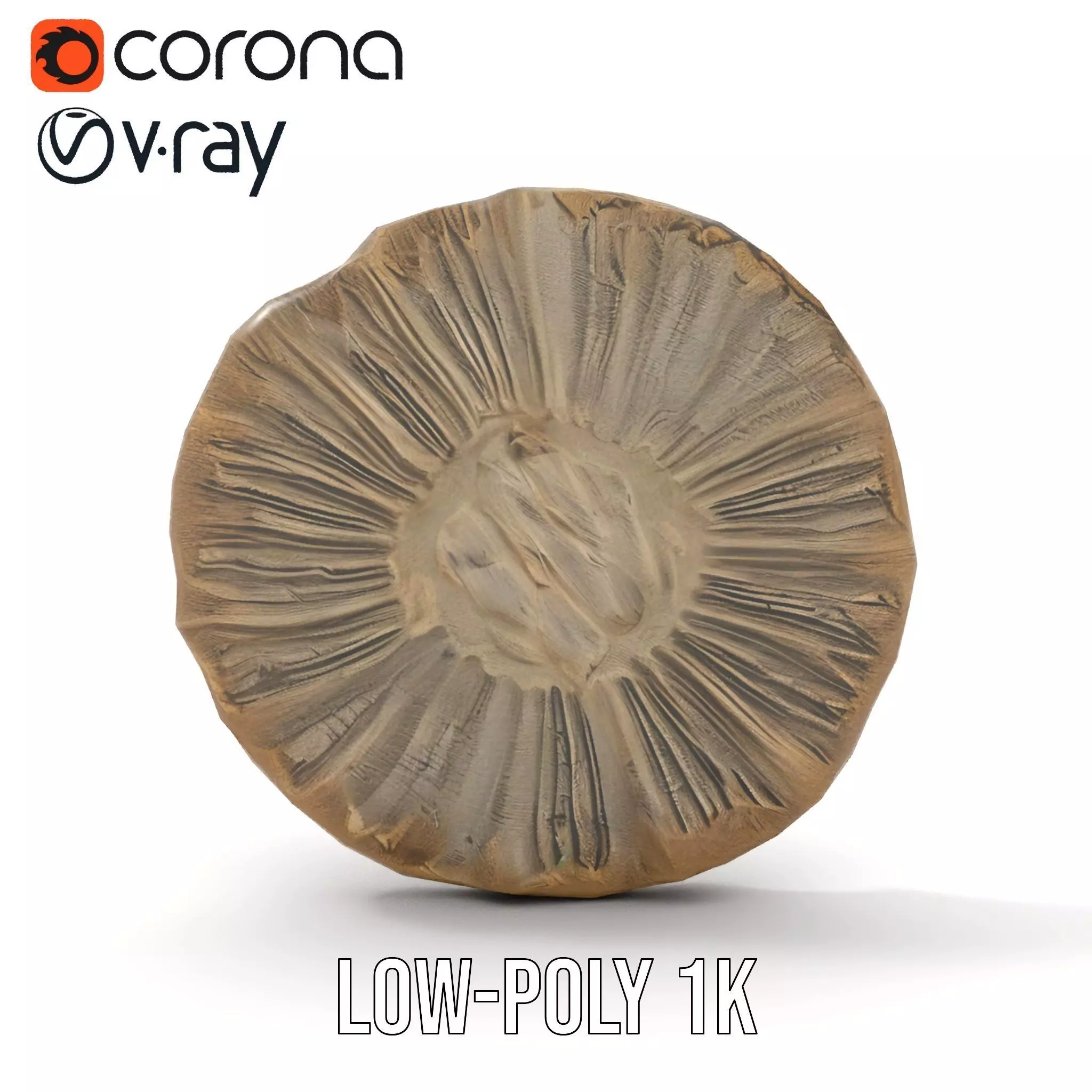 Textured Fossil Stone model pack Low-poly 3D model_18