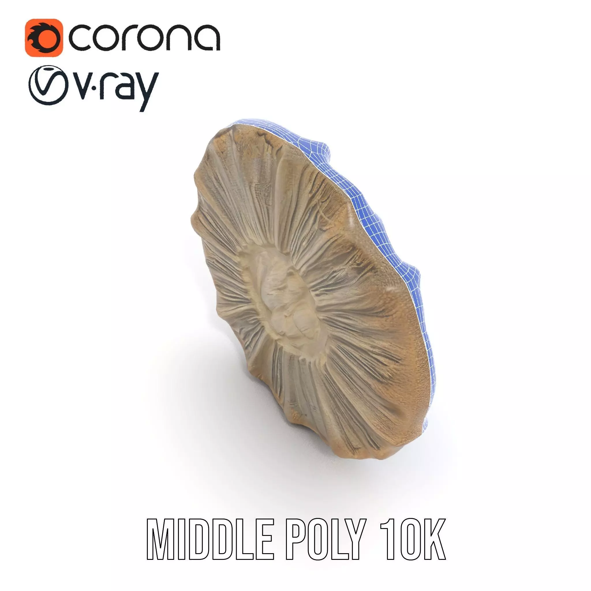 Textured Fossil Stone model pack Low-poly 3D model_25