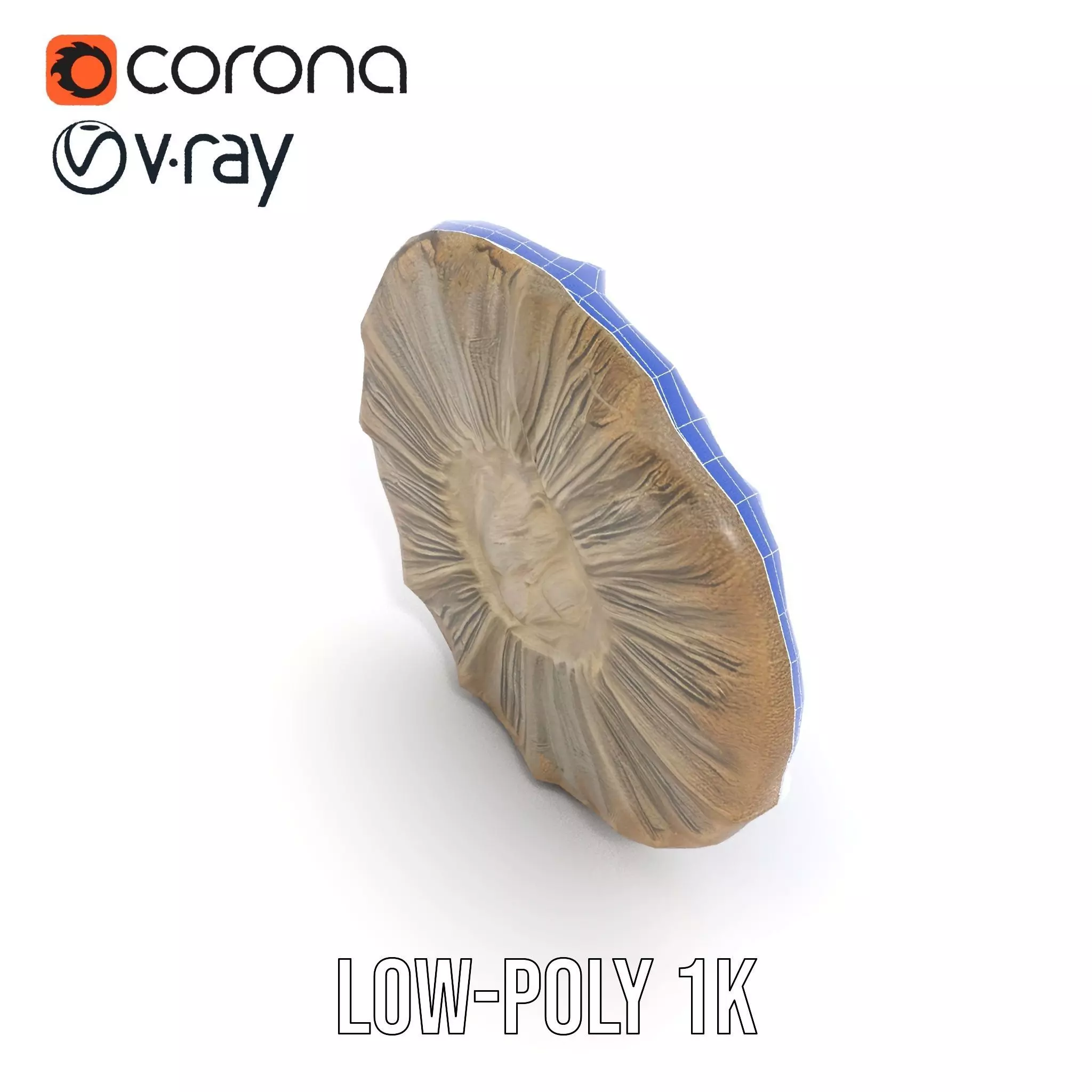 Textured Fossil Stone model pack Low-poly 3D model_13