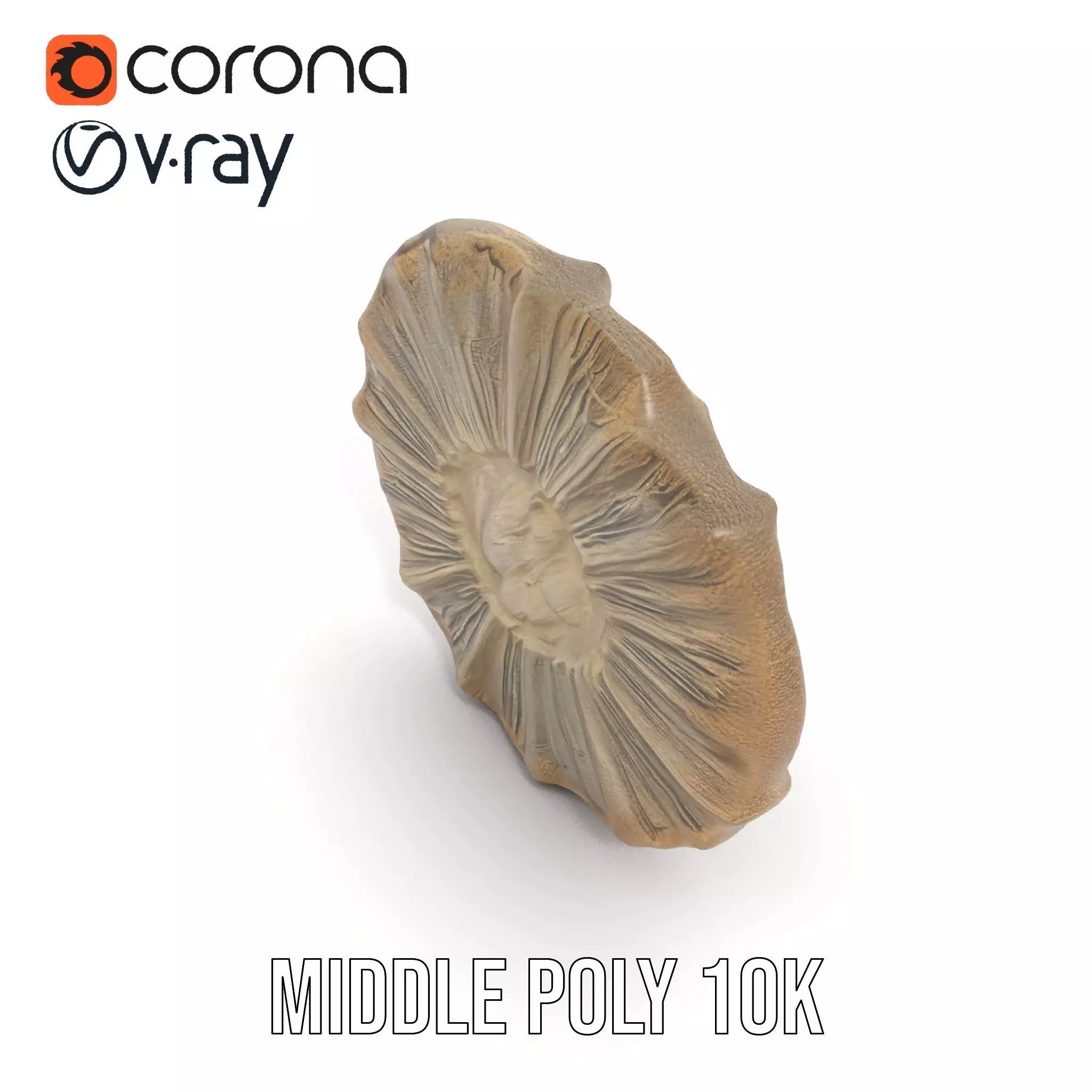 Textured Fossil Stone model pack Low-poly 3D model_17