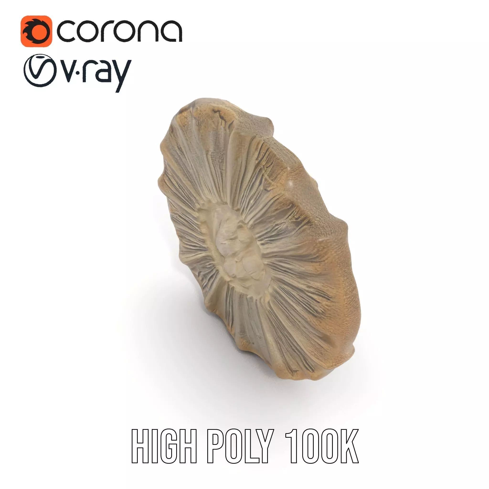 Textured Fossil Stone model pack Low-poly 3D model_29