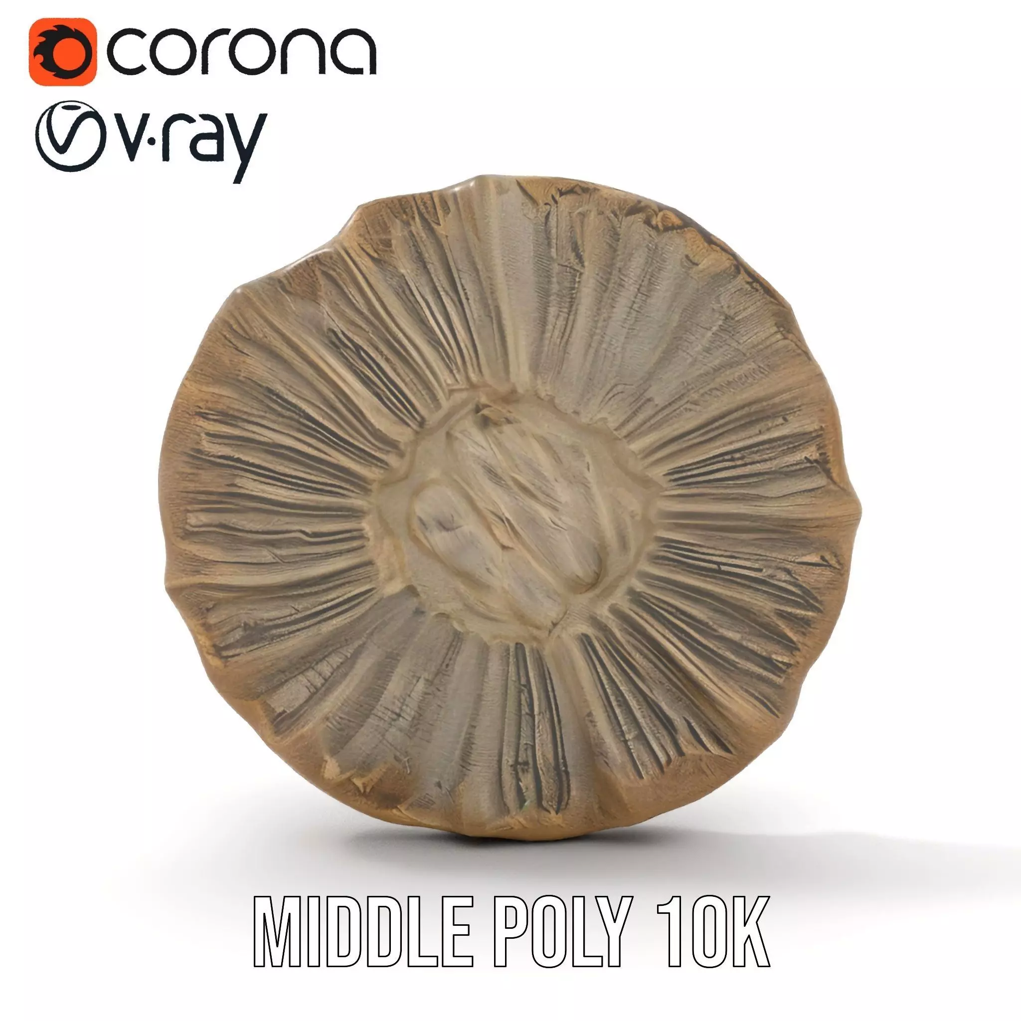 Textured Fossil Stone model pack Low-poly 3D model_7