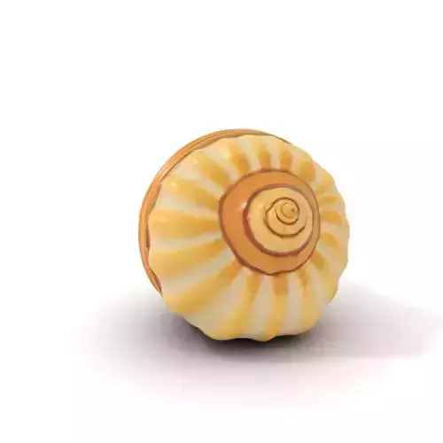 Spiral Seashell Natural model pack Low-poly 3D model