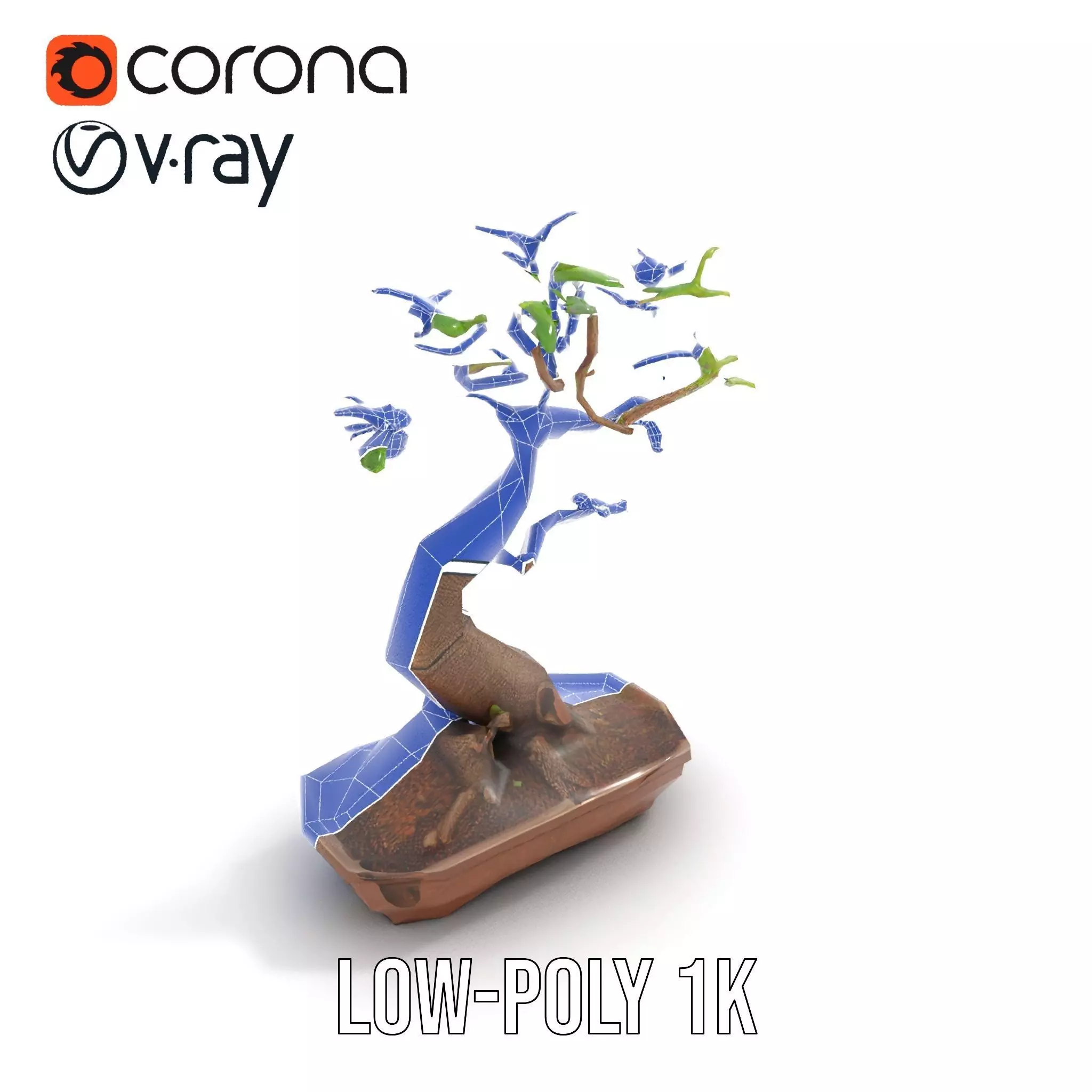 Curved Bonsai Tree model pack Low-poly 3D model_14
