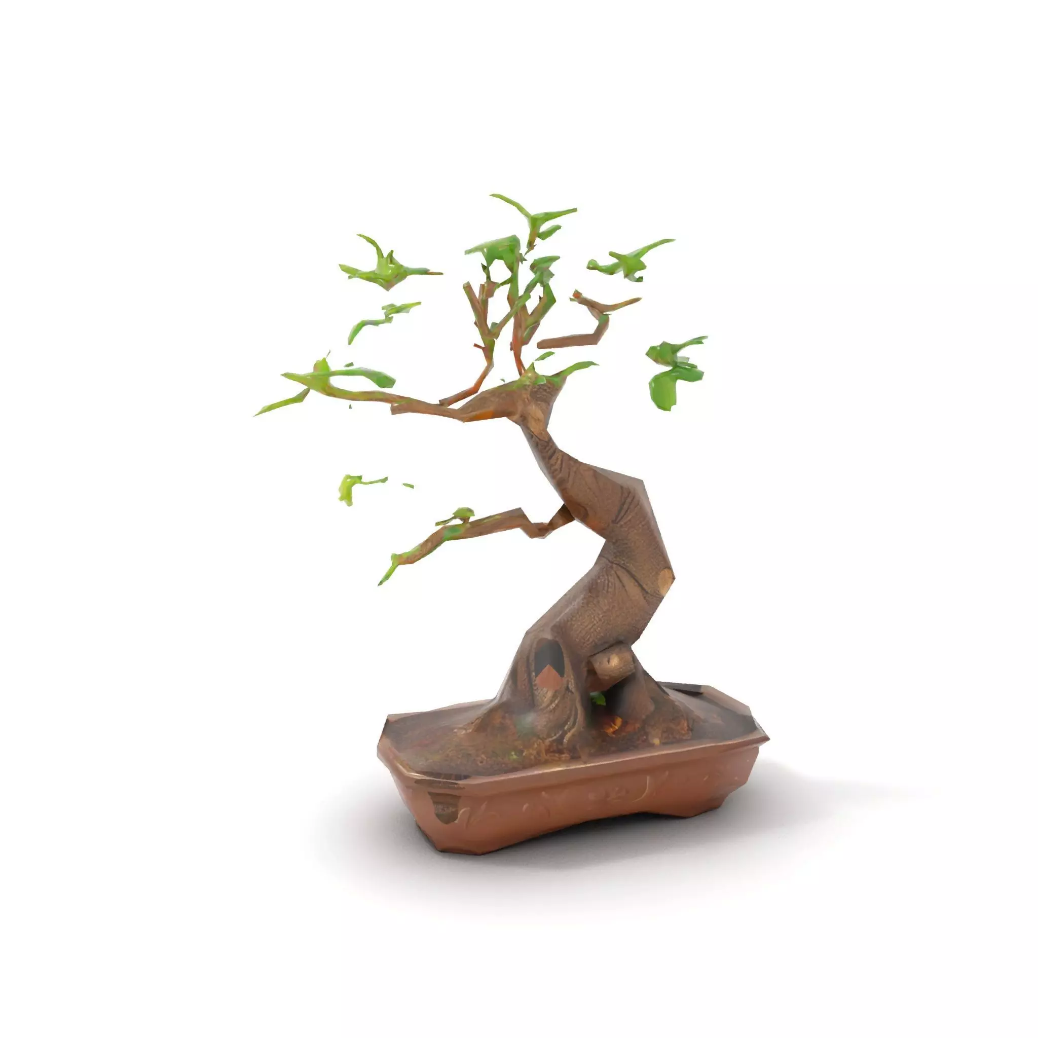 Curved Bonsai Tree model pack Low-poly 3D model_7