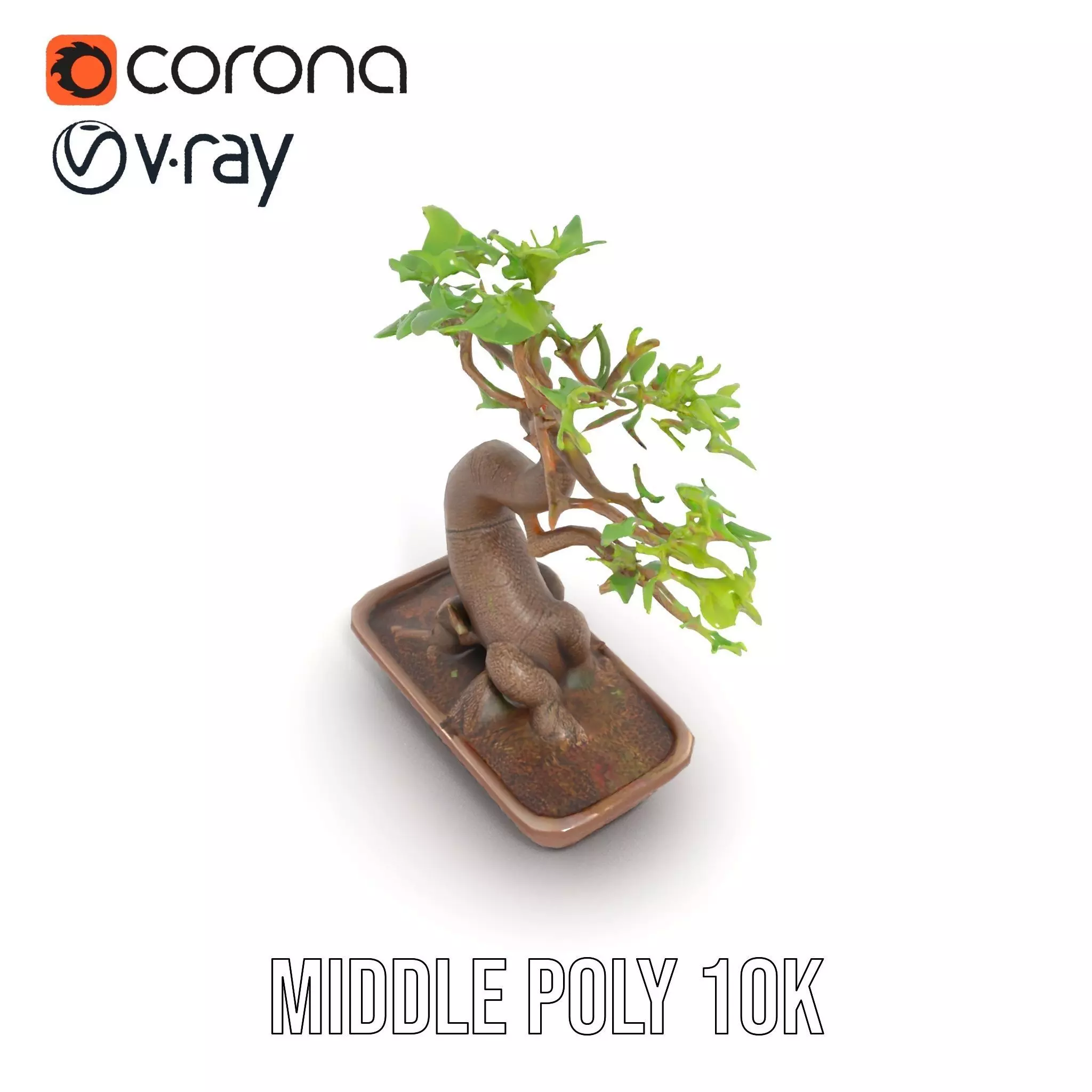Curved Bonsai Tree model pack Low-poly 3D model_5