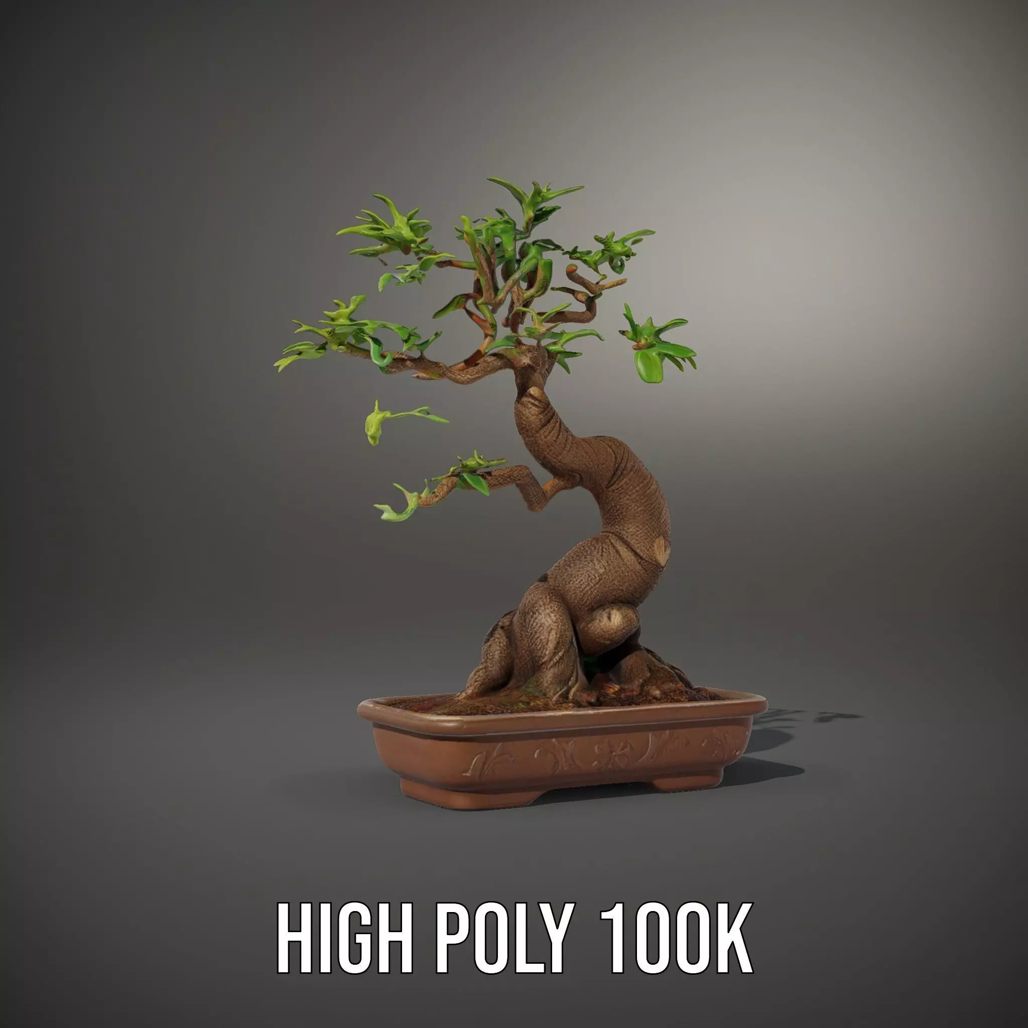 Curved Bonsai Tree model pack Low-poly 3D model_10