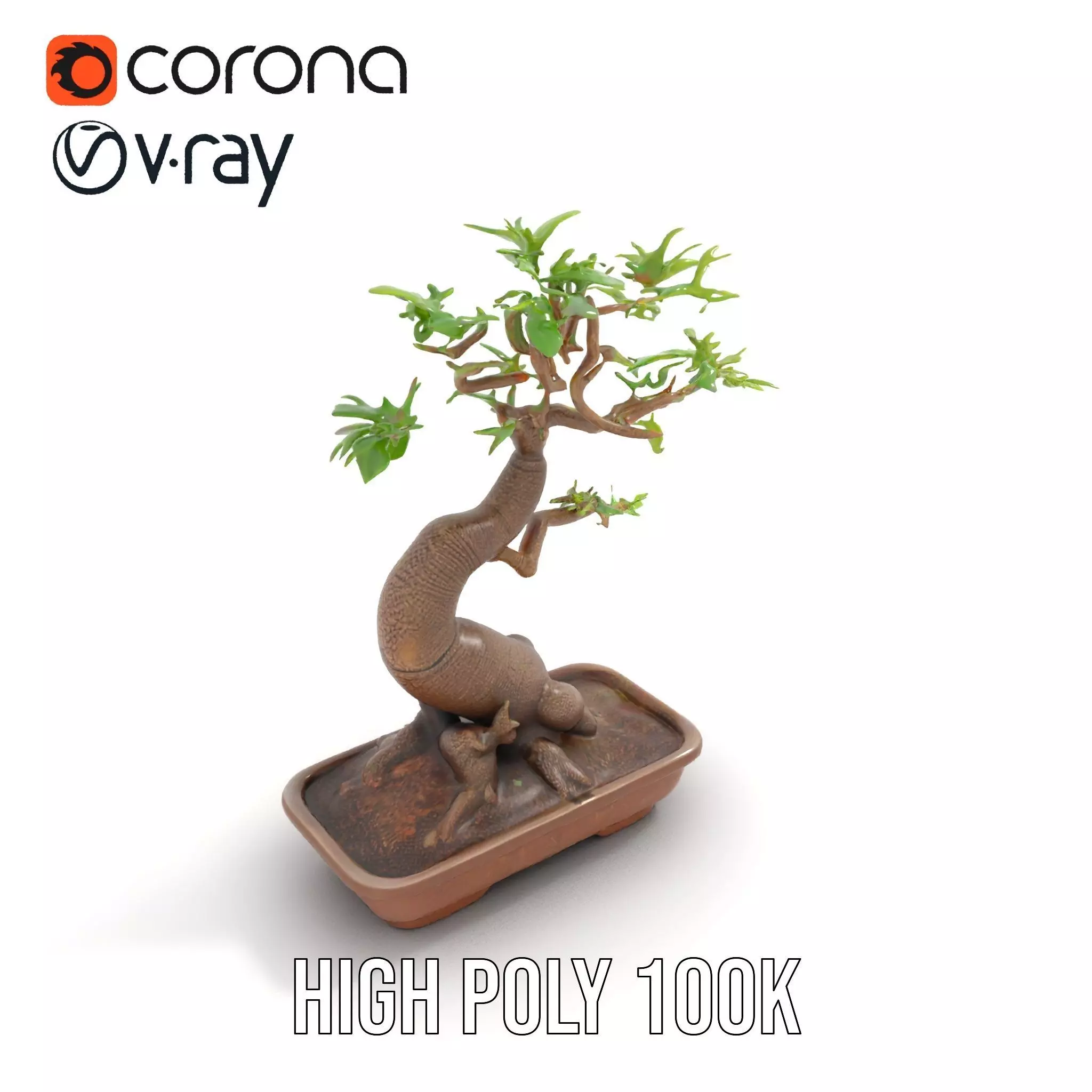 Curved Bonsai Tree model pack Low-poly 3D model_17