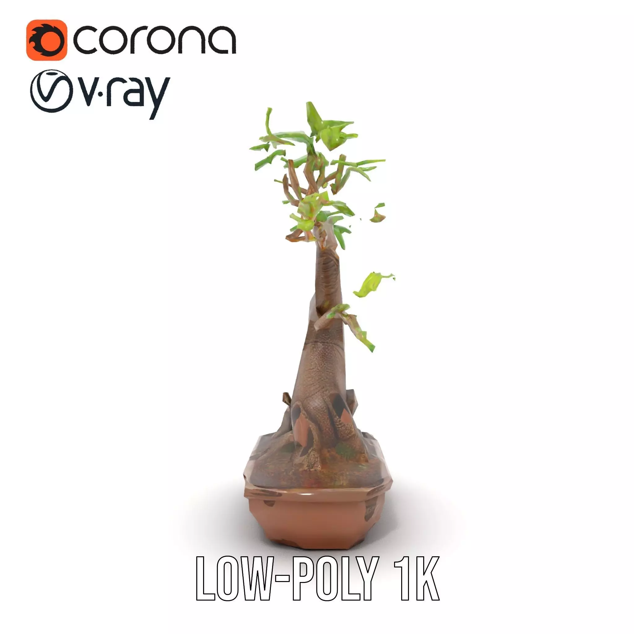 Curved Bonsai Tree model pack Low-poly 3D model_28