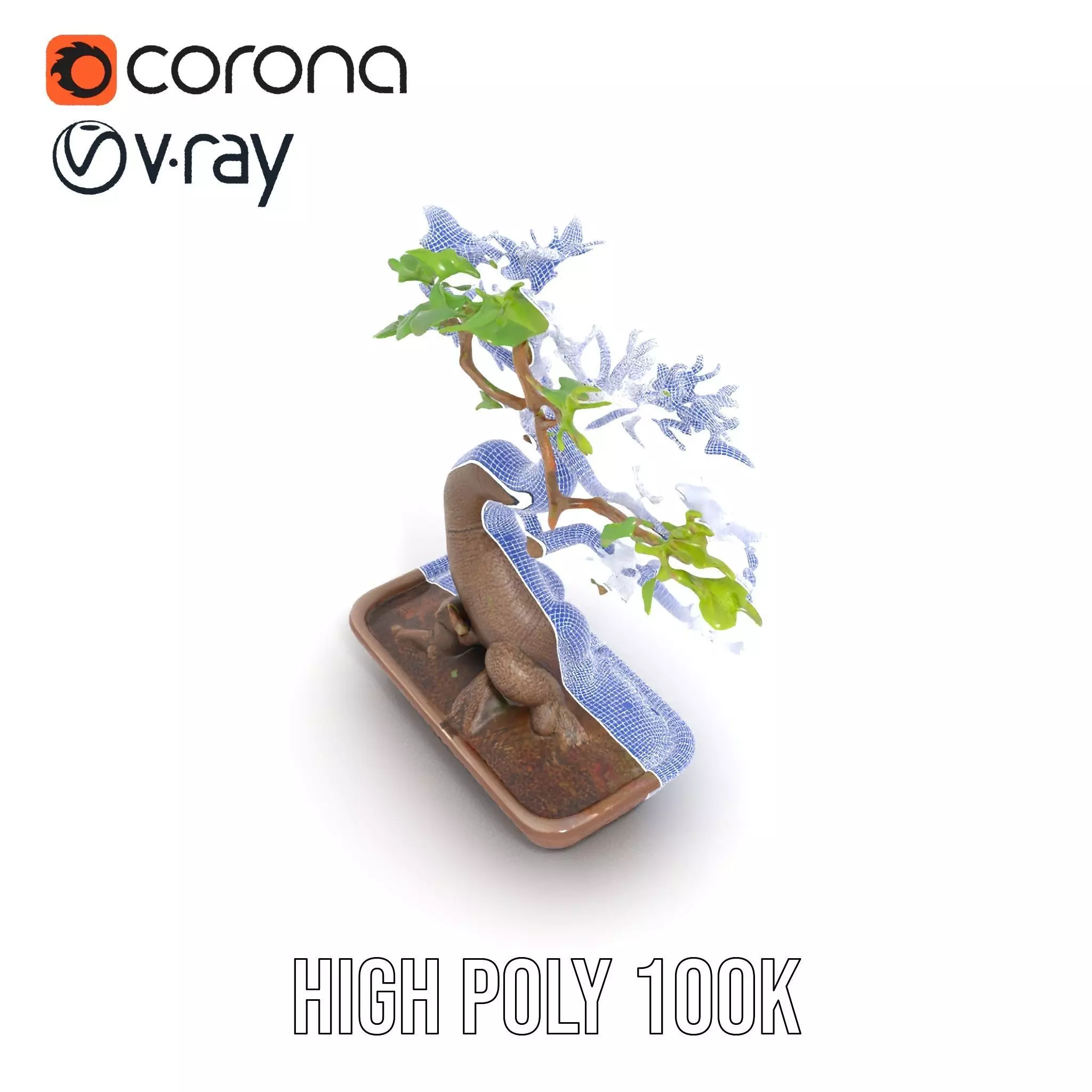 Curved Bonsai Tree model pack Low-poly 3D model_34