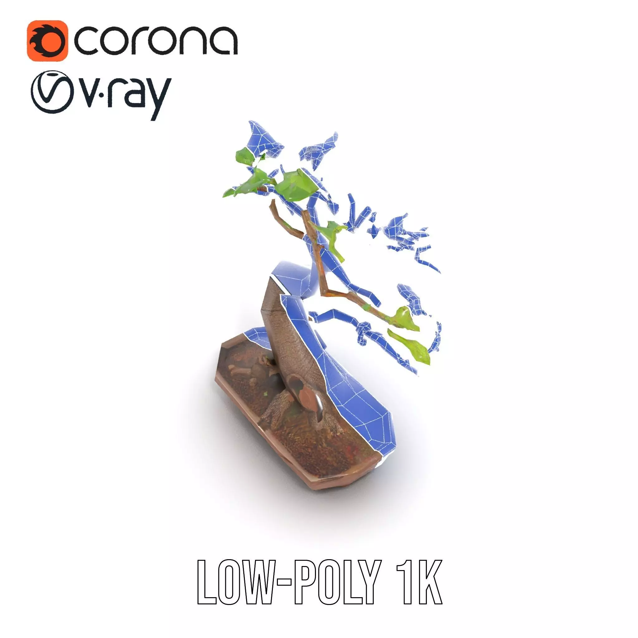 Curved Bonsai Tree model pack Low-poly 3D model_9
