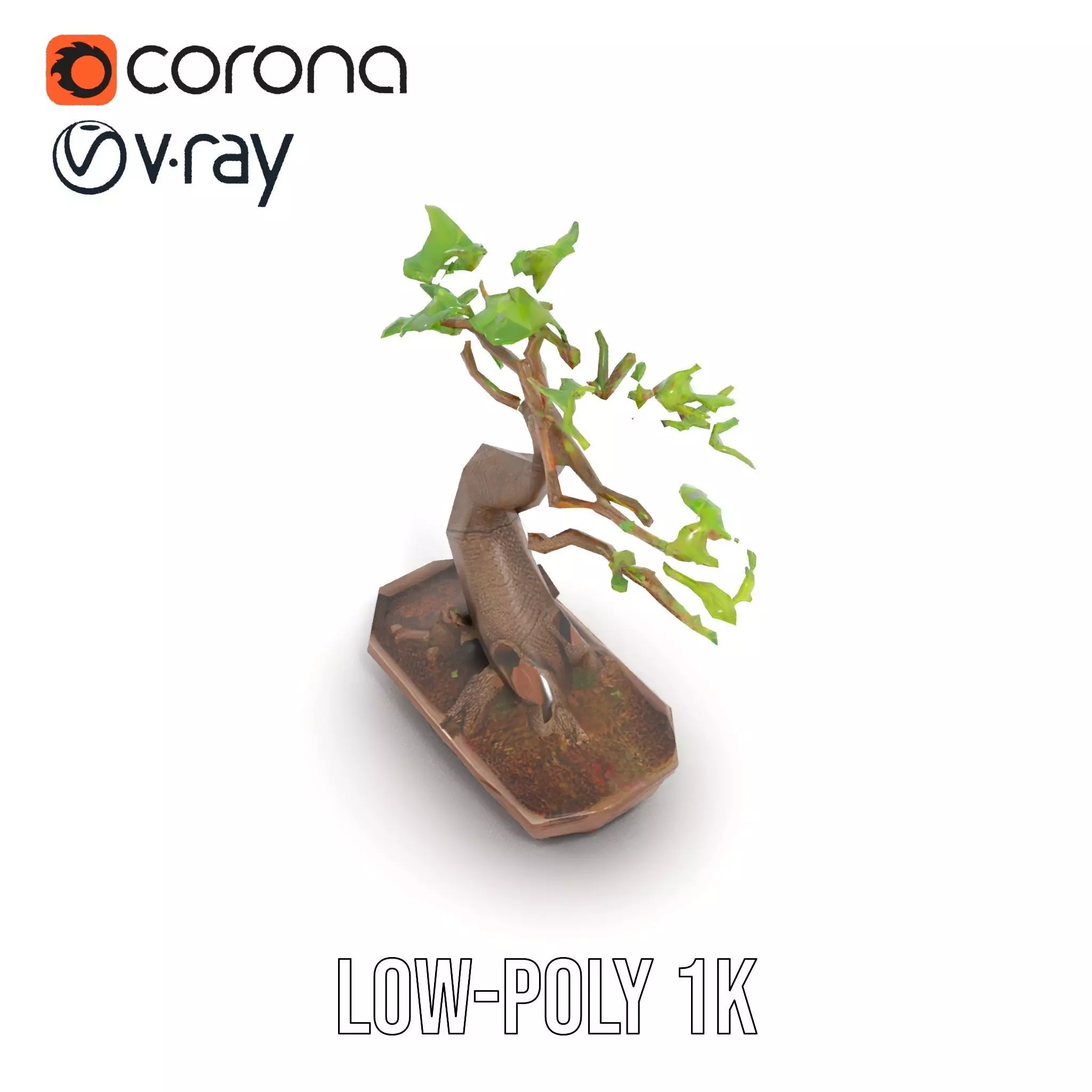 Curved Bonsai Tree model pack Low-poly 3D model_25